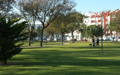 "¡Parques caninos ya! La sanción la merece el Ayuntamiento"