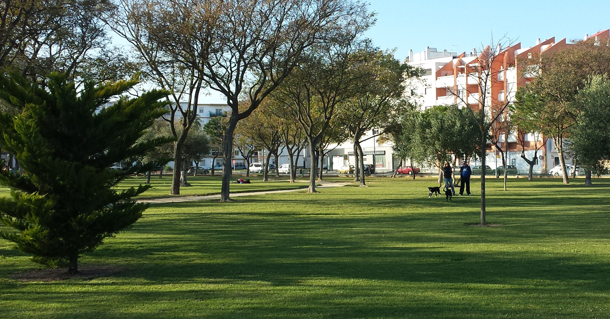 "¡Parques caninos ya! La sanción la merece el Ayuntamiento"