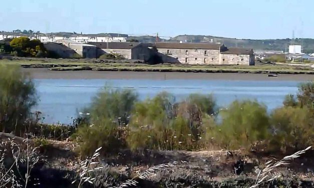 "Las marismas del Matadero"