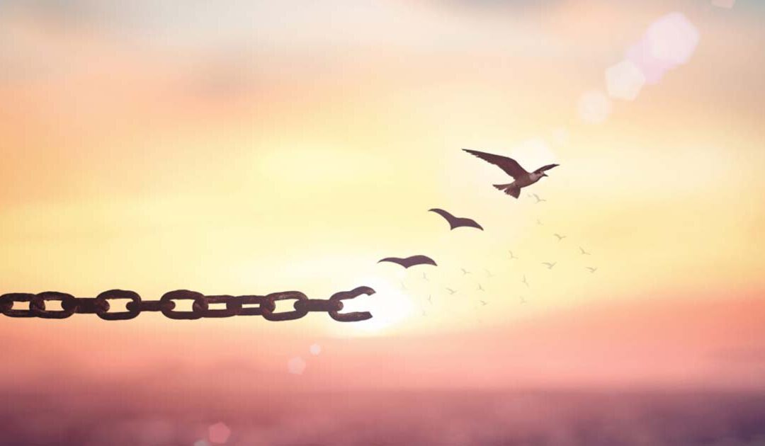 Hacia la liberación