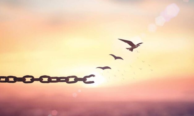 Hacia la liberación