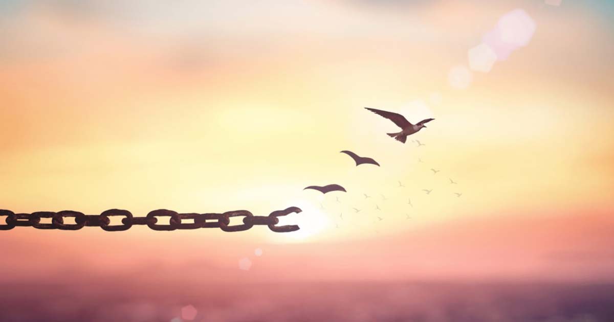 Hacia la liberación