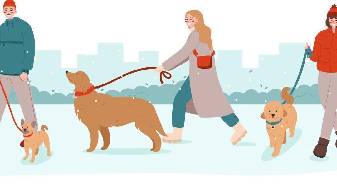 Animales y personas