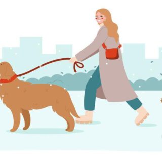Animales y personas