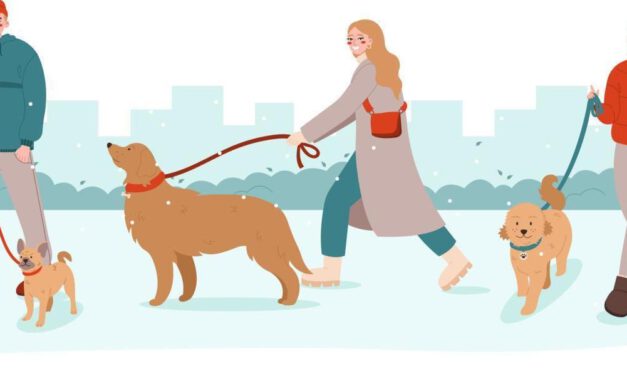 Animales y personas