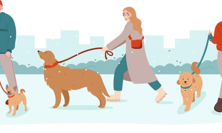 Animales y personas