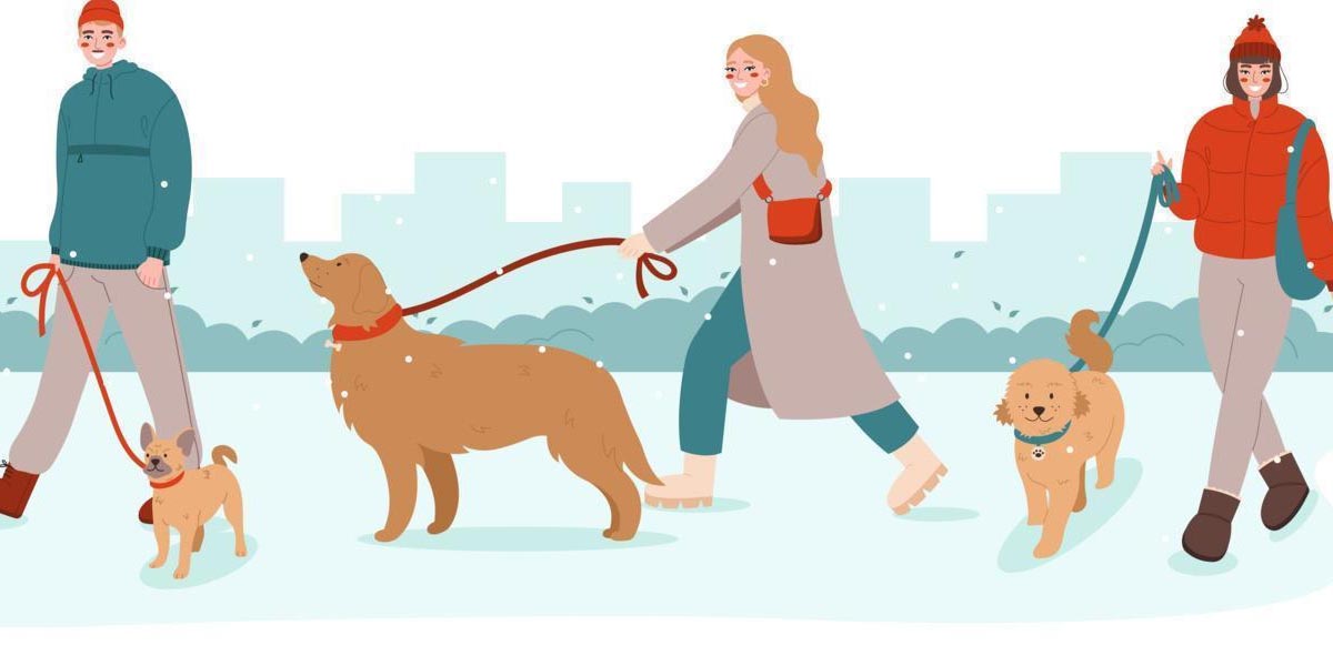 Animales y personas