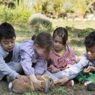 Educación libre y naturalista: Rousseau en pantalla Educación libre y naturalista: Rousseau en pantalla