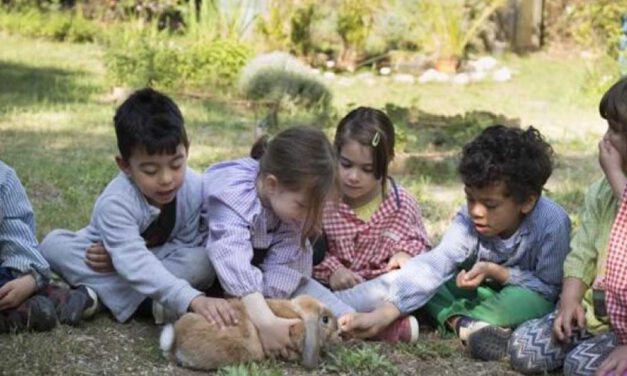 Educación libre y naturalista: Rousseau en pantalla