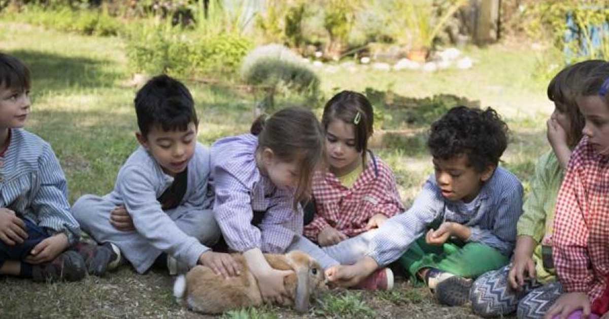 Educación libre y naturalista: Rousseau en pantalla