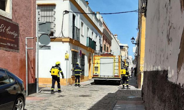 Los Bomberos siguen llevando a cabo labores de desinfección en El Puerto