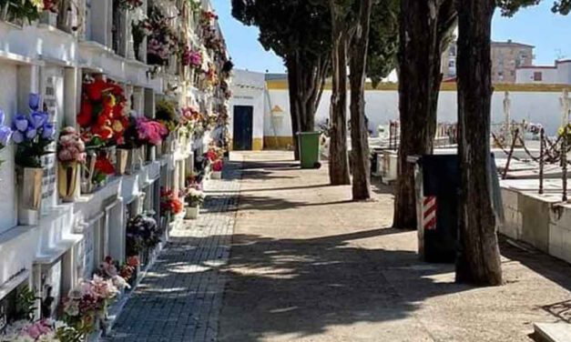 Habilitada cita previa para cualquier gestión con el área del Negociado del Cementerio