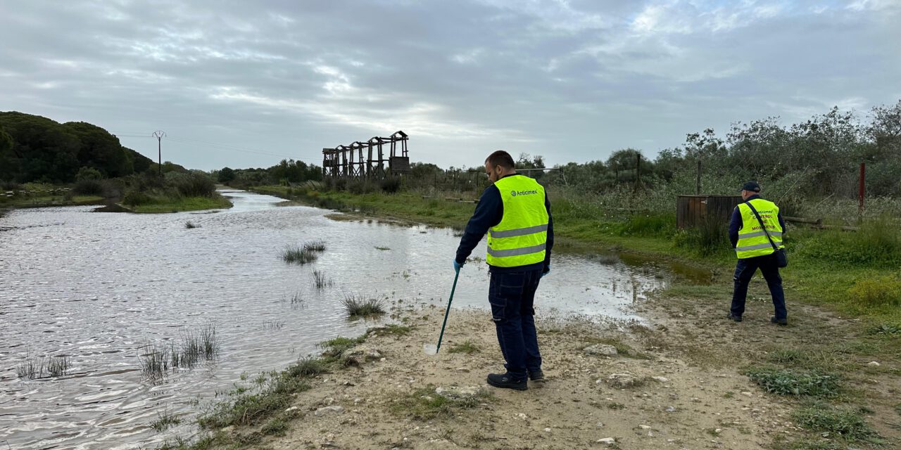 El tratamiento contra las larvas de mosquitos se adelanta tras las lluvias para prevenir plagas en El Puerto