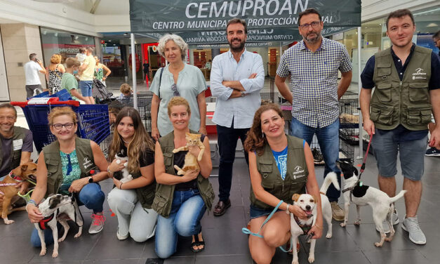 Tres días del Cemuproan en El Paseo se traducen en 35 adopciones y nuevos hogares para perros y gatos abandonados