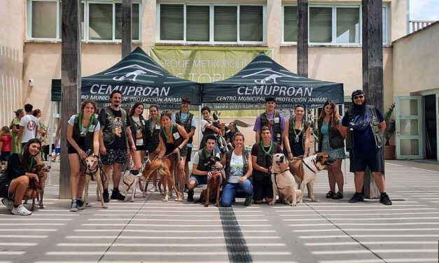 El Ayuntamiento organiza una jornada de adopción de animales este domingo en Los Toruños