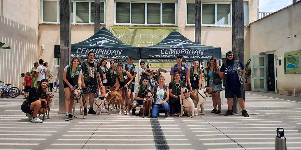 El Ayuntamiento organiza una jornada de adopción de animales este domingo en Los Toruños
