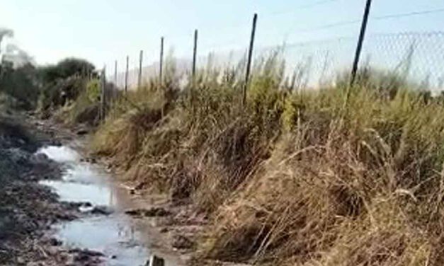 Vox El Puerto denuncia varias fugas de agua en el camino viejo de Rota