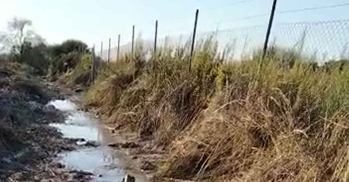 Vox El Puerto denuncia varias fugas de agua en el camino viejo de Rota