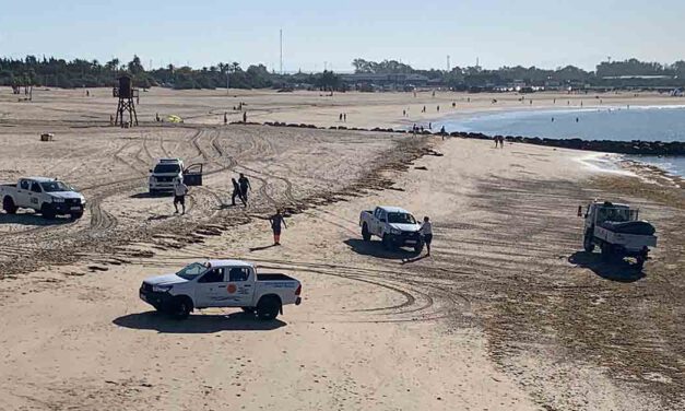 Intervenidos varios alijos de droga en la playa del Manantial y en la playa del Aculadero