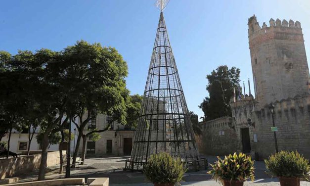 El gran árbol de Navidad se instala en la Plaza del Castillo