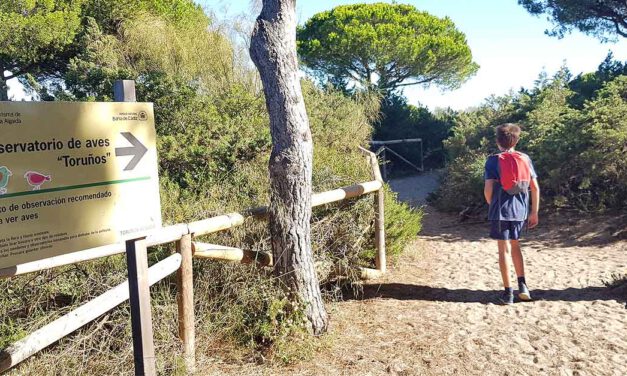 Los Toruños dedicará todo el fin de semana a conmemorar el Día Mundial de las Aves