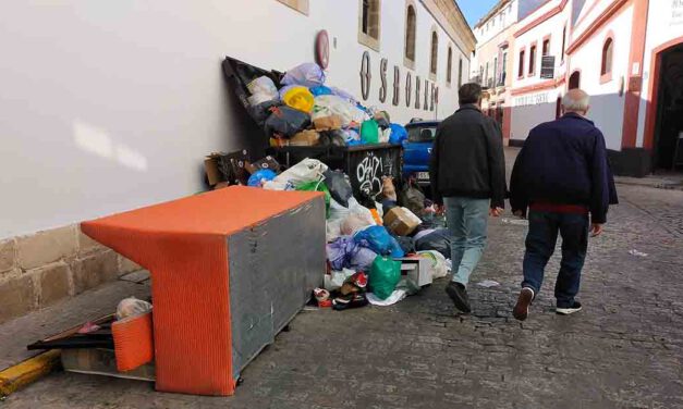 El carnaval de la basura