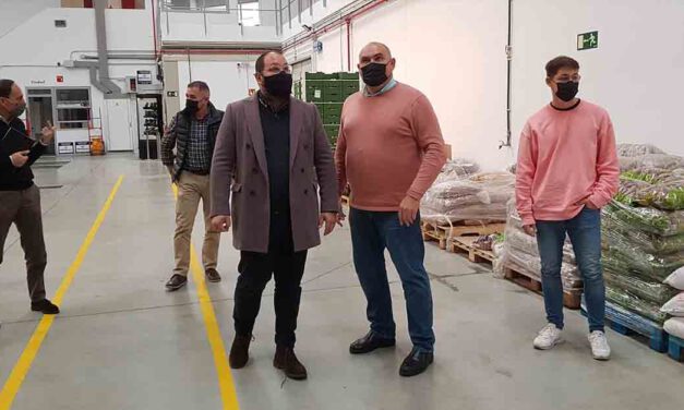 Frusur: de negocio de barrio en El Puerto a grupo mayorista