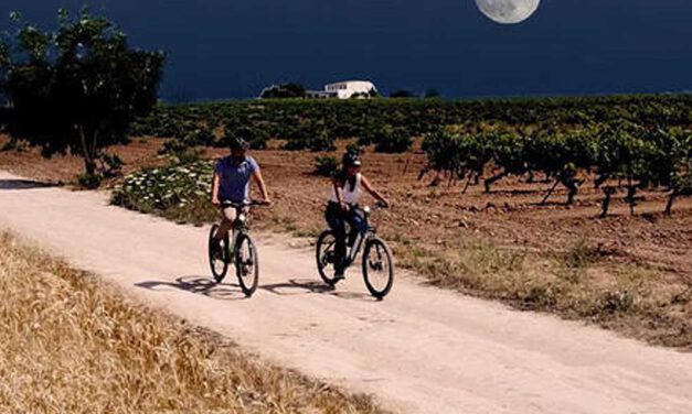 El Puerto organiza este sábado una ‘Ruta guiada nocturna bajo la luna llena entre viñas’