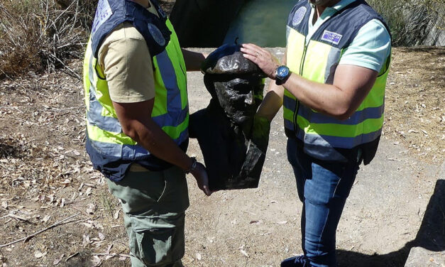 La Policía Nacional recupera el busto de "Pepe el del Vapor" tras ser arrojado al canal junto al Casino