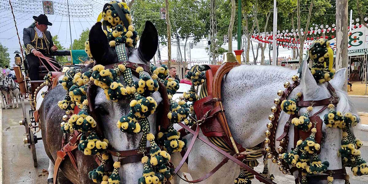 Abierto el plazo de solicitud de enganches para el paseo de caballos de la Feria de Primavera 2025