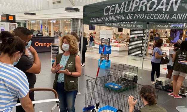 El Paseo acogerá una nueva jornada de adopción de animales