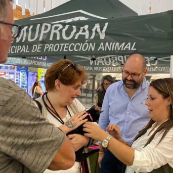 El Paseo acogerá una nueva jornada de adopción de perros y gatos de Cemuproan