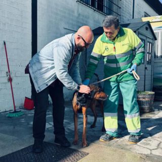 El centro municipal de protección animal reduce los abandonos y mantiene un alto nivel de adopciones