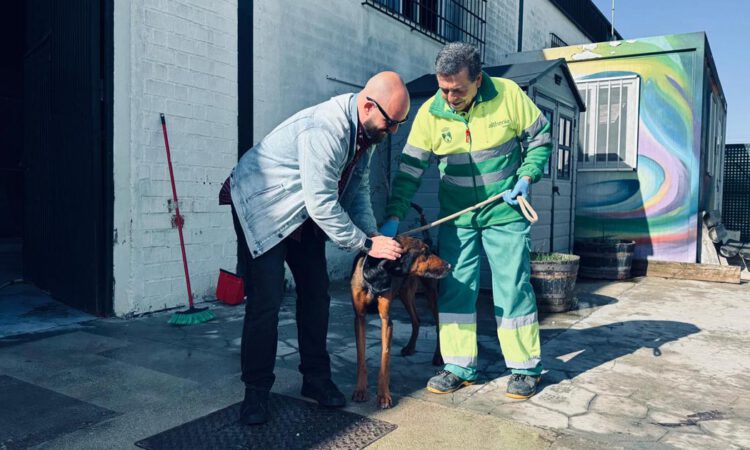 El centro municipal de protección animal reduce los abandonos y mantiene un alto nivel de adopciones