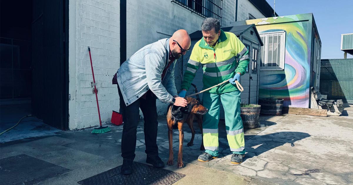 El centro municipal de protección animal reduce los abandonos y mantiene un alto nivel de adopciones