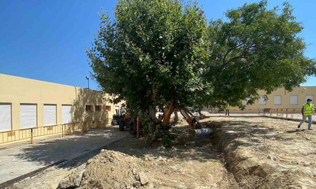 El Ayuntamiento arregla los hundimientos del patio del CEIP Marqués de Santa Cruz