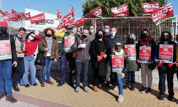 El PSOE muestra su apoyo a las plantillas del comercio en grandes superficies