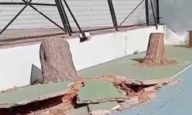 El PSOE denuncia el deterioro del CEIP Cristóbal Colón y reclama su arreglo urgente