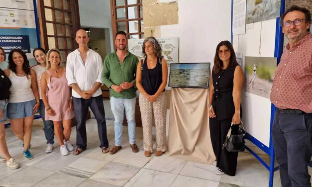 El Puerto acoge durante esta semana la exposición 'Patinegro, entre arena y sal'