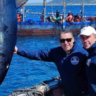 El propietario de La Pescadería disfruta de la levantá del atún rojo en Zahara de los Atunes