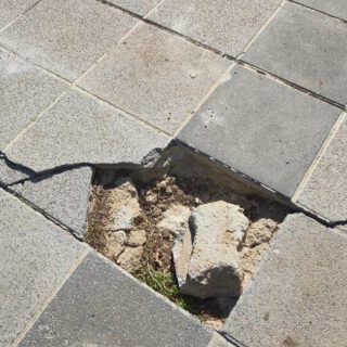 El PSOE lleva al pleno las quejas vecinales por el deterioro en Jardín de Cano y su entorno