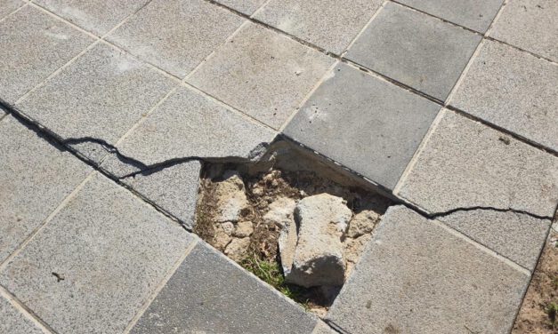 El PSOE lleva al pleno las quejas vecinales por el deterioro en Jardín de Cano y su entorno