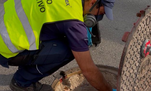 El dispositivo contra plagas intensifica sus actuaciones en calles, parques y zonas sensibles