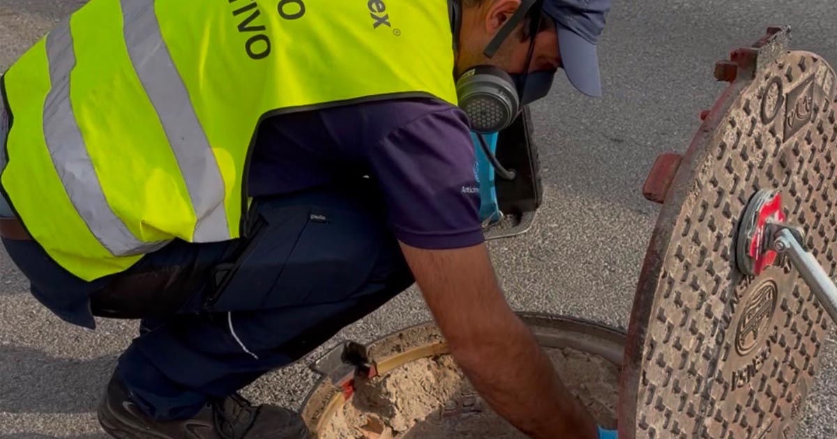 El dispositivo contra plagas intensifica sus actuaciones en calles, parques y zonas sensibles
