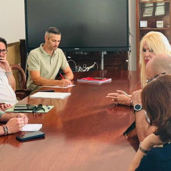 Las colonias felinas avanzan hacia un protocolo de gestión conjunto