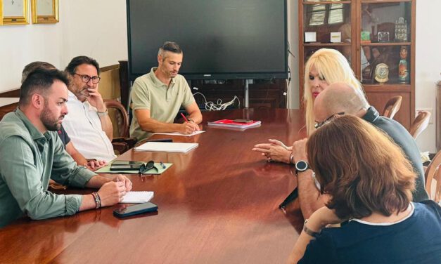 Las colonias felinas avanzan hacia un protocolo de gestión conjunto