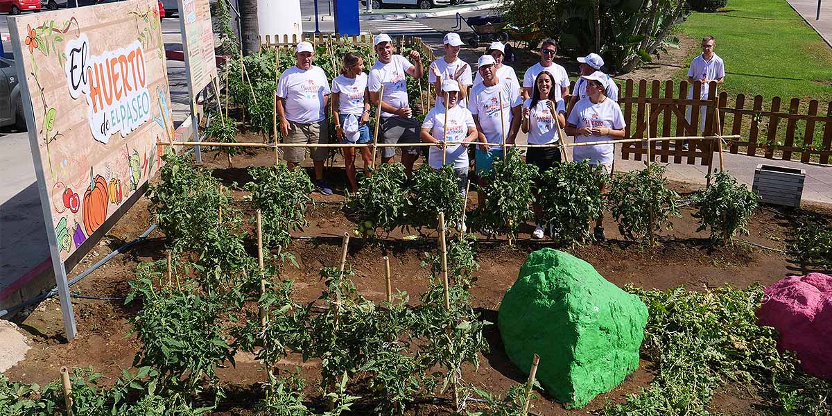 El Paseo pone en marcha un huerto terapéutico solidario