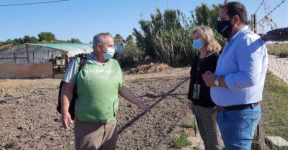 Los huertos solidarios de La Vicuña se consolidan como un proyecto con corazón