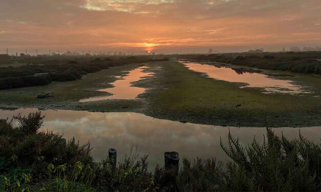 Soraya Gutiérrez se alza con el primer premio del concurso fotográfico de los Humedales