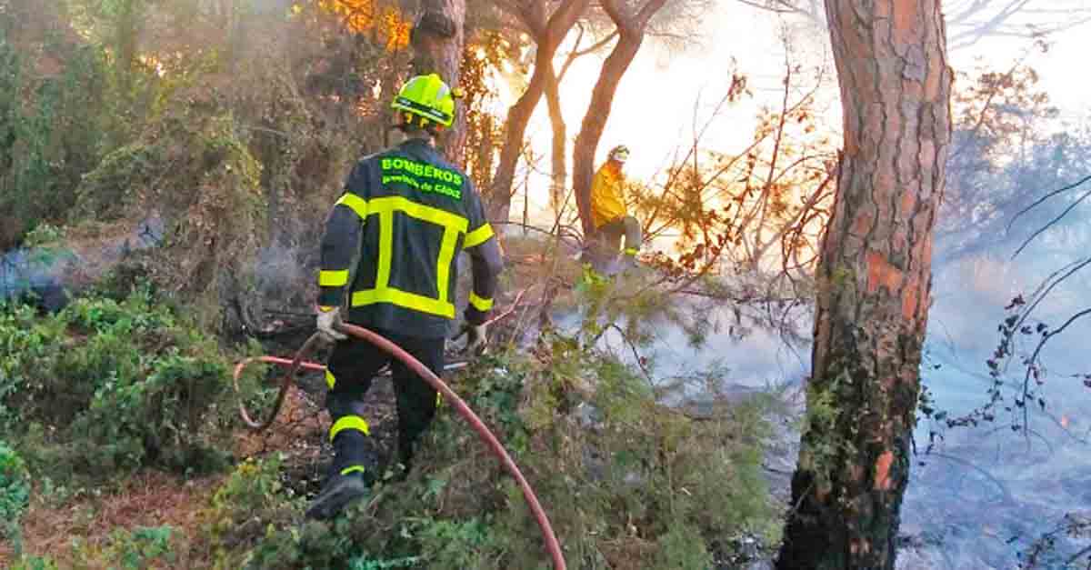 Unión Portuense muestra su preocupación por los incendios en El Puerto